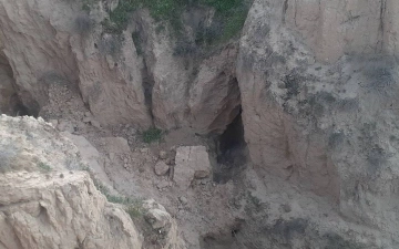 Медведь, за которым гонялись на машине, спрятался в пещере