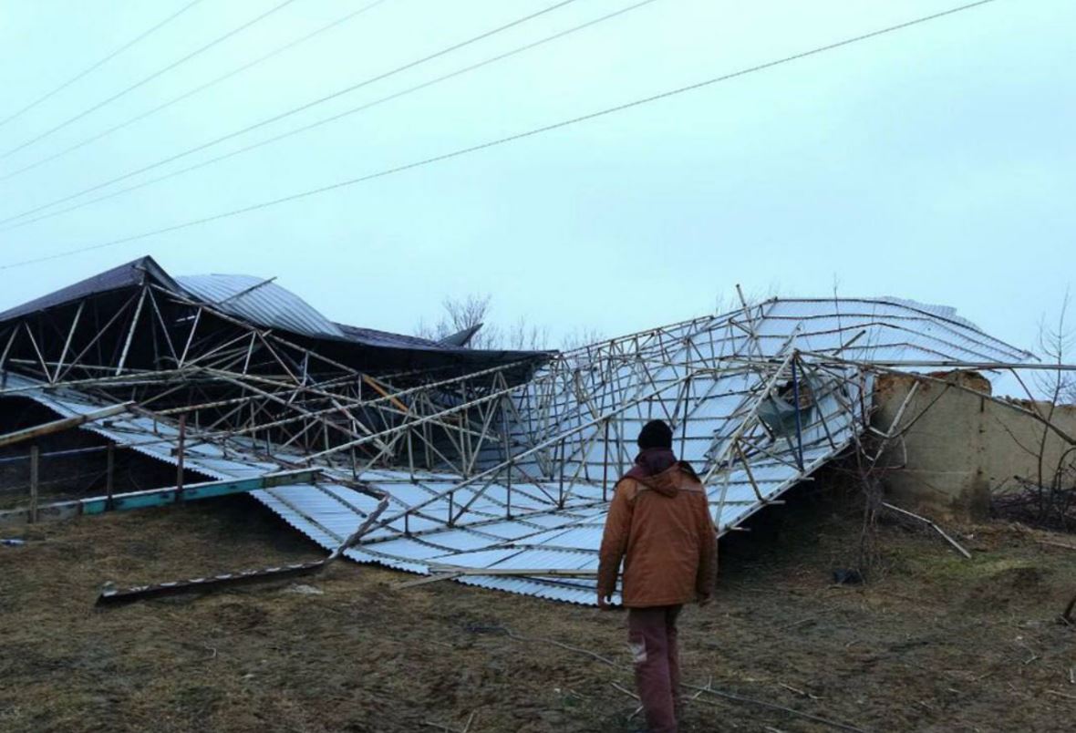 Сильный ветер оставил без света свыше 130 тысяч жителей Самарканда и Джизака