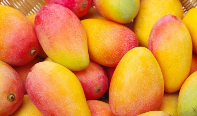 В Узбекистан будут поставлять манго, авокадо и киви из Тайланда