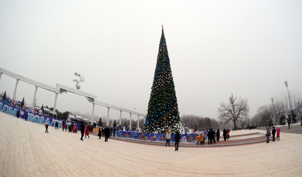 Раскрыта новая локация новогодней елки в Ташкенте (фото)