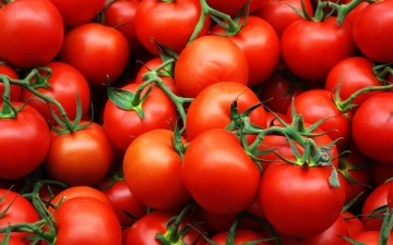 Oʻzbekistonda pomidor narxi keskin arzonlashdi