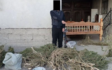 В одном из домов Самарканда обнаружили более 30 кг марихуаны