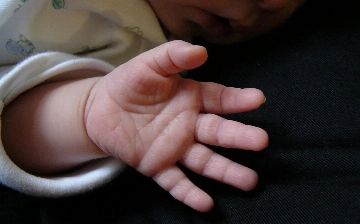 С начала года в Узбекистане родилось почти 630 тысяч детей (статистика)