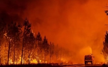 Во Франции задержали более 30 человек, подозреваемых в поджогах лесов