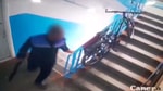 Житель Навои застрелил собаку в подъезде на глазах у детей — видео