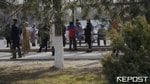 Вырубщиков деревьев, помимо выплаты компенсации, могут обязать сажать деревья