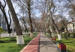 Россиянин перечислил плюсы и минусы релокации в Узбекистан