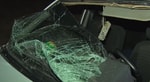 В Ташкенте сбили насмерть 22-летнюю девушку