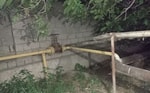Птицефабрика в Ташобласти незаконно использовала газ на 5,2 млрд сумов