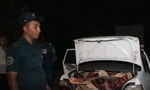 В Ташкент пытались ввезти тонну испорченного мяса