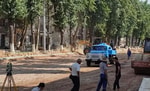 Возбуждено уголовное дело по факту порчи деревьев на Чиланзаре