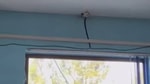 В столичном аквапарке были  установлены камеры в женской раздевалке