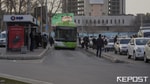 В Узбекистане женщинам хотят разрешить водить большие автобусы