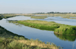 Узбекистан направил Казахстану около 4 млрд кубометров воды