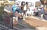 В Ташобласти собака чуть не загрызла маленького мальчика