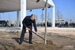 Шавкат Мирзиёев посадил дерево в рамках создания  «зеленого» пояса вокруг Ташкента