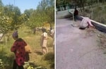 В школах и детсадах Узбекистана проведут рейды против принудительного труда