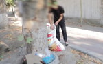 За сутки в Узбекистане выявили свыше 300 случаев выброса мусора в неположенном месте