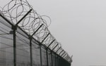 В Узбекистане предложили ввести пожизненное заключение за педофилию