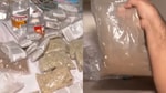 За два месяца в Узбекистане накрыли восемь нарколабораторий