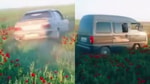 В Кашкадарье несколько водителей давили тюльпаны