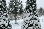 Синоптики рассказали о морозах на выходных — прогноз погоды