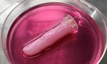 Ученые из Японии создали палец-робот из живых человеческих клеток