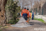В Узбекистане пройдет всенародный хашар