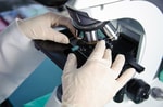 Ученые предложили новый способ контроля гибели клеток для лечения рака и Альцгеймера