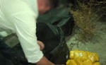 В Узбекистане задержали членов наркогруппы: специалисты изъяли свыше 110 кг наркотиков
