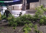 Узбекистанцев экстренно предупредили об усилении ветра