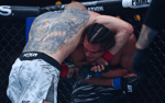 UFC 311: Боец из Узбекистана Богдан Гуськов победил американца Билли Элекану