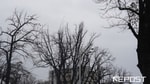 В Навои зафиксировали аномальные холода