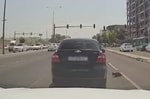 В Ташкенте неизвестные выбросили кошку из окна машины