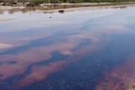 В Сурхандарье поток с примесью нефти попал в реку