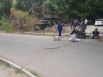Генпрокуратура прокомментировала инцидент с падением дерева на Чиланзаре