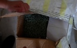 В Ташкенте нашли и накрыли цех по производству поддельных лекарств