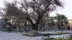 Синоптики рассказали, какая погода ждет узбекистанцев перед выходными