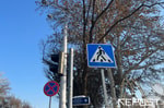 За год в Узбекистане наказали свыше 26 тысяч водителей, причинивших ущерб пешеходам