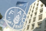 ФАО: К 2030 году от ожирения будут страдать свыше 1 млрд людей