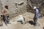Археологи нашли уникальные древние настенные живописи в Бухаре