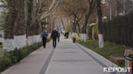 Доход бюджета Ташкента за первое полугодие составил почти 14 трлн сумов