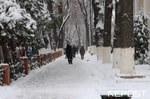 Население Узбекистана ежедневно растет на 2,1 тысячи человек