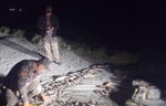 В Узбекистане ужесточили наказания за уничтожение деревьев и незаконную рыбалку