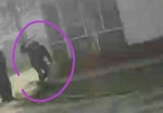 В Янгиюле отловщик убил собаку, ударив ее по голове — видео (18+)