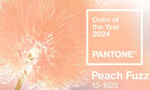 Pantone назвали главный цвет 2024 года