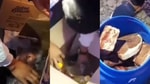Под Ташкентом директора детсада поймали на краже продуктов, предназначенных для воспитанников