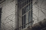 Узбекистанцы через подкоп сбежали из колонии в России