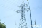 В Узбекистане решили создать Агентство по развитию и регулированию энергетического рынка 