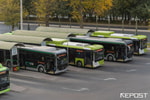 Для Ташкента закупят более 200 автобусов